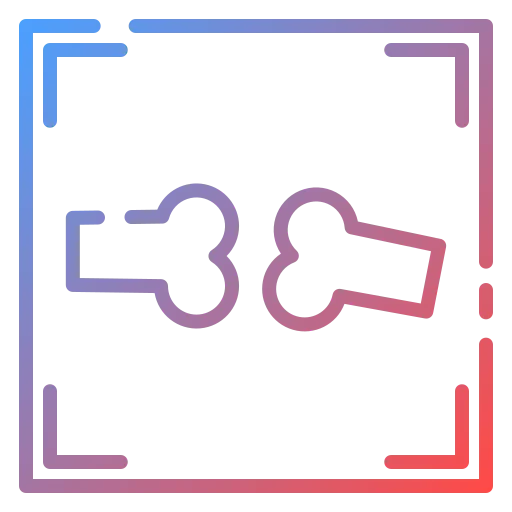 X ray icon