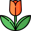 Tulip icon 64x64