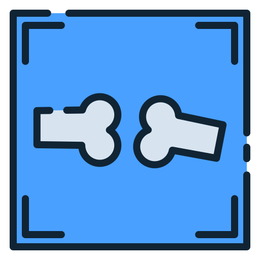 X ray icon
