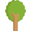 Tree icon 64x64