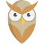 Owl icon 64x64