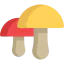Mushroom icon 64x64