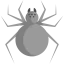 Spider icon 64x64
