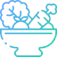 Salad icon 64x64