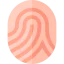 Fingerprint icon 64x64