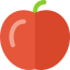 Healthy food icon 64x64