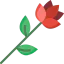 Rose icon 64x64