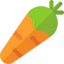 Healthy food icon 64x64