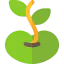 Bean icon 64x64