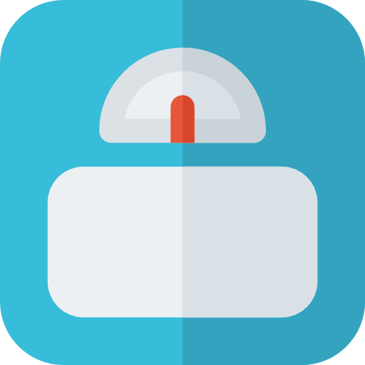 Scale icon