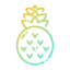 Pineapple icon 64x64