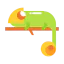 Chameleon icon 64x64