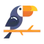 Toucan icon 64x64