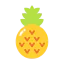 Pineapple icon 64x64