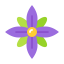 Flower icon 64x64