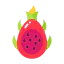 Dragon fruit icon 64x64