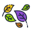 Leaf icon 64x64