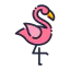 Flamingo icon 64x64