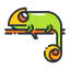 Chameleon icon 64x64