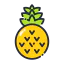 Pineapple icon 64x64