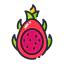 Dragon fruit icon 64x64