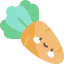 Carrot icon 64x64