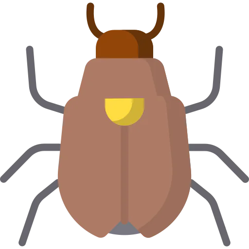 Beetle icon