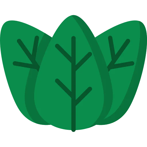Leaf icon
