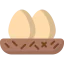Nest Symbol 64x64
