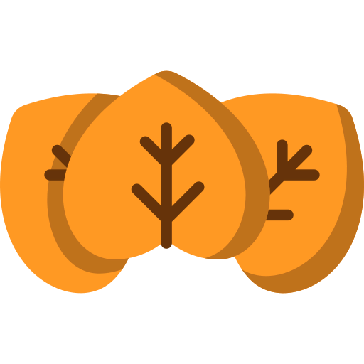 Leaf icon