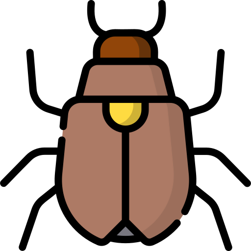 Beetle icon