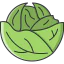 Cabbage icon 64x64