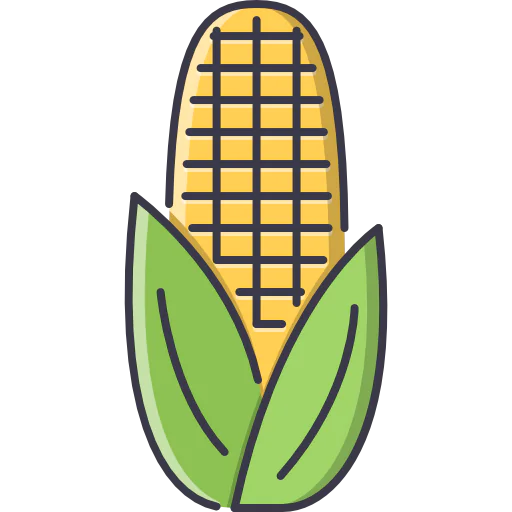 Corn icon