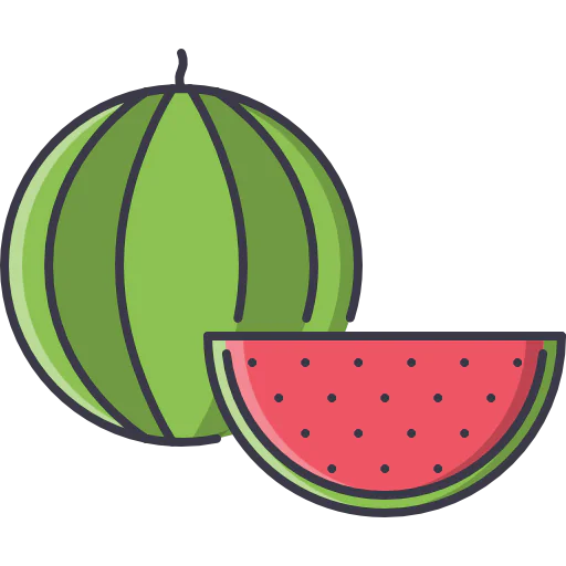 Watermelon icon