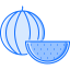 Watermelon icon 64x64