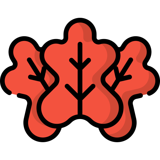 Leaf icon