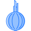 Onion icon 64x64