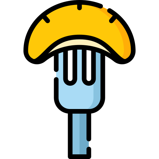 Orange slice icon