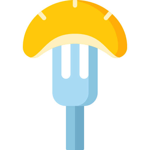 Orange slice icon