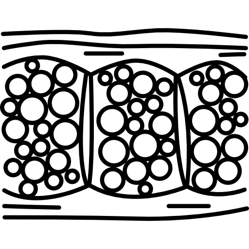Cellulite icon