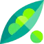 Soya icon 64x64