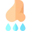 Runny nose 图标 64x64
