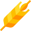 Wheat icon 64x64