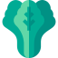 Celery icon 64x64