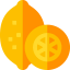 Lemon icon 64x64