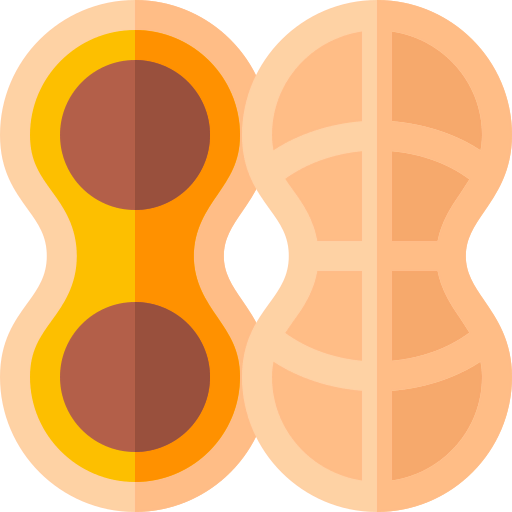 Nut icon