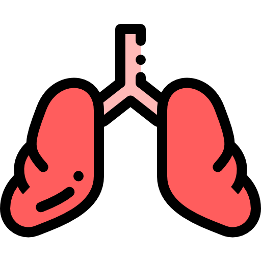 Lungs icon