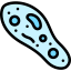 Paramecium Ikona 64x64