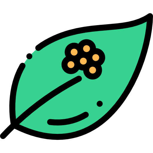 Eggs icon
