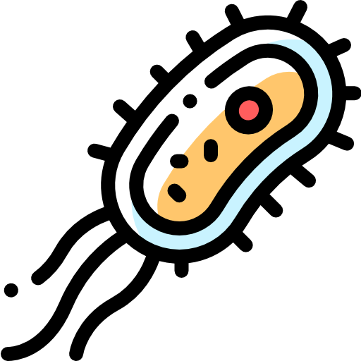 Bacteria icon